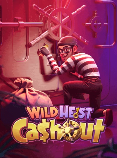 BPL cricket betting cover